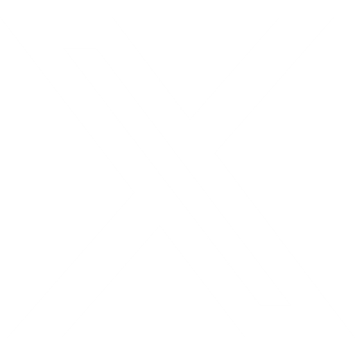 Twitter Icon